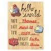 Cohas Hello World Newborn Baby Announcement Printed Wood Sign with
