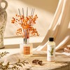 Airkeep Reed Diffuser Oil Refill/Coconut&Pineapple/3.38oz（100ml/1 Pack/Scented Oil Refill for Diffuser