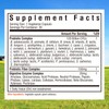 Innate Vitality Innate Vitality Electrolytes Powder + Probiotics 120 Billion