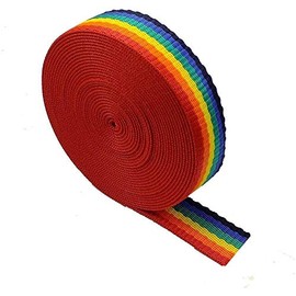 Heavy Duty Webbing Strap Tape - 5 metres - Rucksack/Backpacks, Luggage/Cargo Strapping, Belts (Rainbow, 25mm)