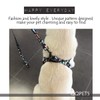 QQPETS Dog Harness Leash Set Adjustable Heavy Duty No Pull