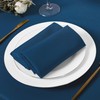 DWCN Cloth Napkins Set of 12 18 x 18 Inch