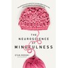 The Neuroscience of Mindfulness: The Astonishing Science behind How Everyday