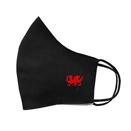 inking house Welsh Dragon Cotton Face Mask Protective Covering Washable Reusable Breathable Cover Wales Dragon