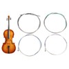 4Pcs Violin Strings,Size 4/4 and 3/4 String Universal Full Set