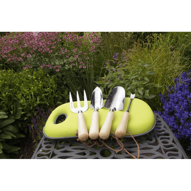 Spear & Jackson 4059ES Elements Stainless Dandelion Weeder