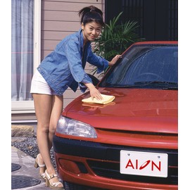 Folding Aion Plas Chamois Cleaning Cloth 680 x 430 (Former Kanebo)