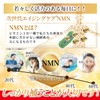 エクオールプラス和漢 エクオール イソフラボン NMN 高麗人参 GABA イヌリン ３種類の和漢成分と２４種類の美容成分配合 国内製造 90粒