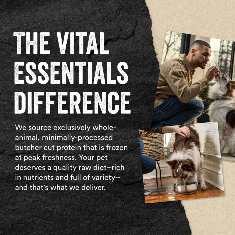 Vital Essentials Vital Essentials® Freeze-Dried Raw Beef Entree & Mixer