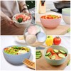 Set of 5 Unbreakable Lightweight Rice Bowl, Premium Wheat Straw