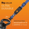 Weenect Dog XT - New GPS Collar for Dogs |