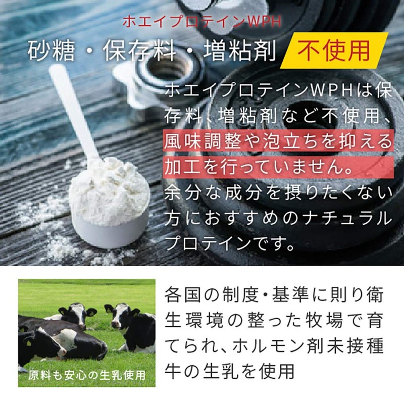 nichie Whey Protein WPH Protein Approx. 92% Protein (Anhydrous) Sugar-Free