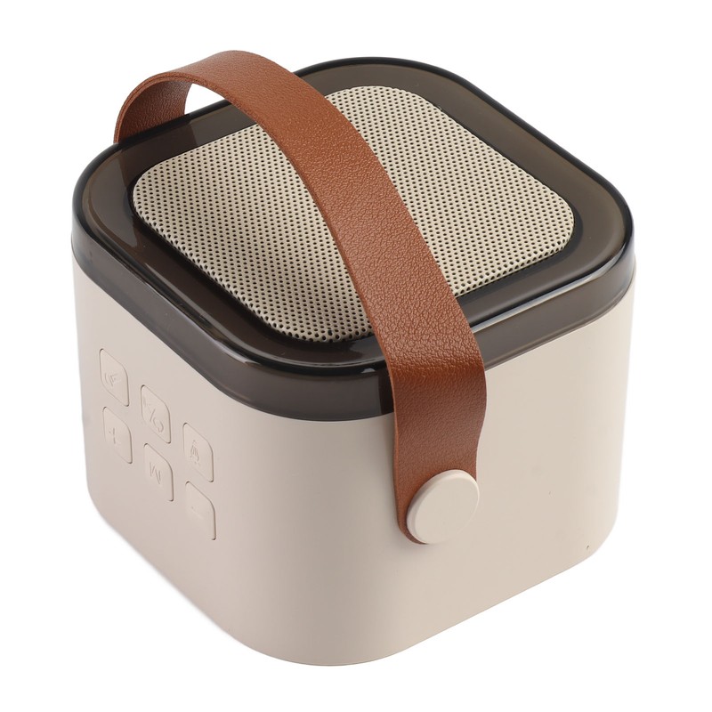 Karaoke Machine Mini Portable Wireless Bluetooth Handheld Microphone Speaker for