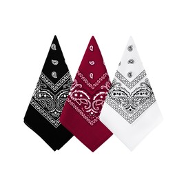 Bycc Bynn 3 Pack 100% Cotton Paisley Bandanas Square Scarf Headwear (Black + Burgundy + White)