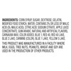Nerds Very Berry Gummy Clusters 5 Ounce Peg (Pack of