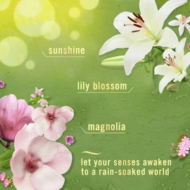 F.e.br.e.z.e Luxe Air Mist- 8.8oz 3ct (Morning Spring Showers)