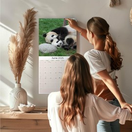 2024 2025 Pandas - Cute Animal Monthly Wall Calendar - 12 x 24 Open - Thick No-Bleed Paper - Giftable - Academic Teacher's Planner Calendar Organizing & Planning