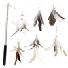 SONGWAY Cat Toy, Cat Feathers, Insects, Fluffy, Natural Feathers, Primary
