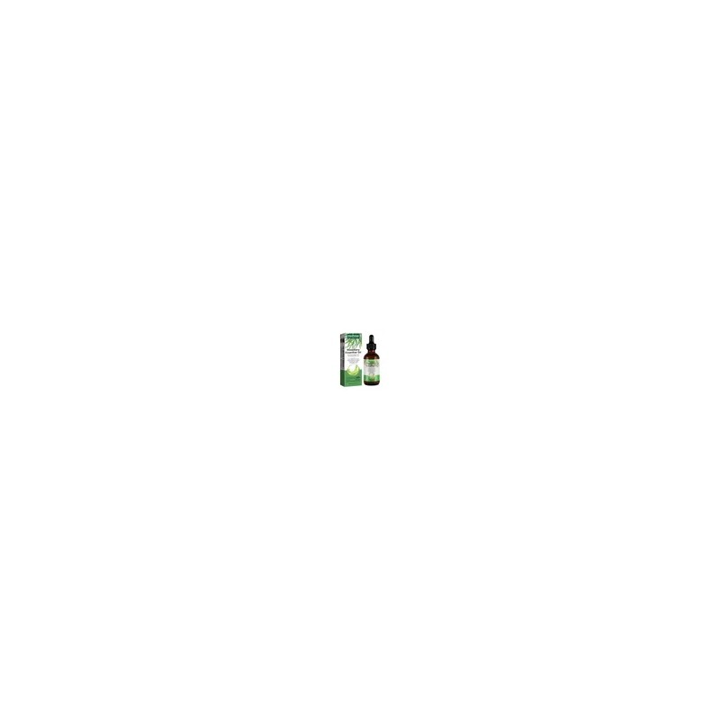 Aceite Capilar De Romero Ouhoe Everyday Essential Para Uso D