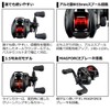 Daiwa 21 PR100