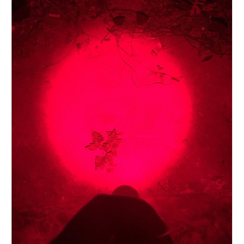 WAYLLSHINE 2-Pack LED Flashlight, 3 Modes Red Light Torch for