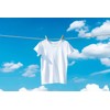 72pk Plastic Dolly Pegs For Washing Line | Strong Heavy