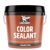 Liquid Rubber Color Waterproof Sealant - Elastomeric Roofing Coating for