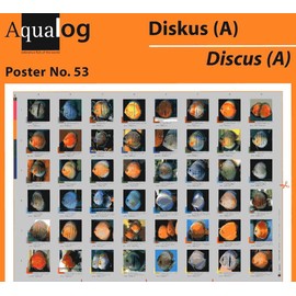 AQUALOG, 3 Discus Fold Posters, for Discus fans!