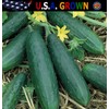 The Gardening World 150 Spacemaster 80 Cucumber Seeds Heirloom