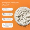 Acetyl L-carnitina 1.500 mg 100 cápsulas vegetales