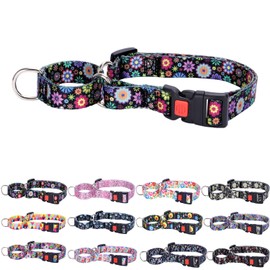 Martingale Dog Collars for Medium Large Dogs, Sunflowers Design & Adjustable Premium Boy and Girl Dog Collars for Training, Walking, Hunting (S)