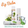 Lip Balm, Flavored Moisturizing Lip Balm Variety Pack, 12 Flavors:
