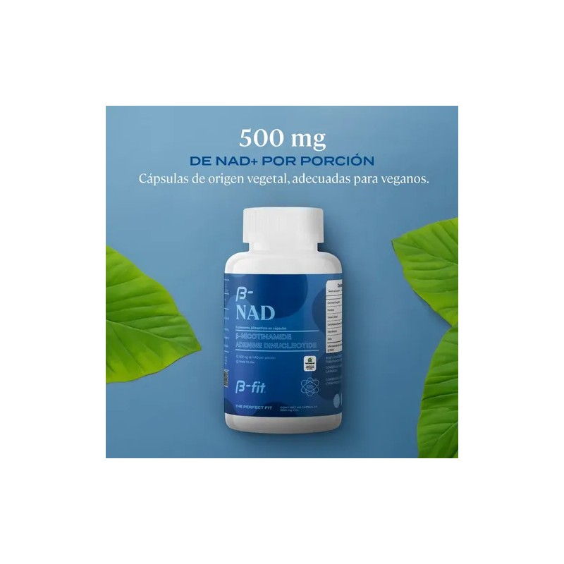 B-fit Nad 500mg 90 Cápsulas Suplemento Anti Aging