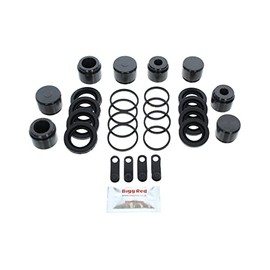 Bigg Red - Front Brake Caliper Repair Seal Kit and Pistons - Compatible with 911 3.6 Carrera 2001-2005