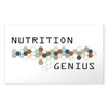 CafePress Nutrition Genius Rectangle Sticker Rectangle Bumper Sticker Car Decal