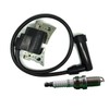 OakTen Ignition Coil Spark Plug Pack compatible with 277-79431-01, 20A-79431-01
