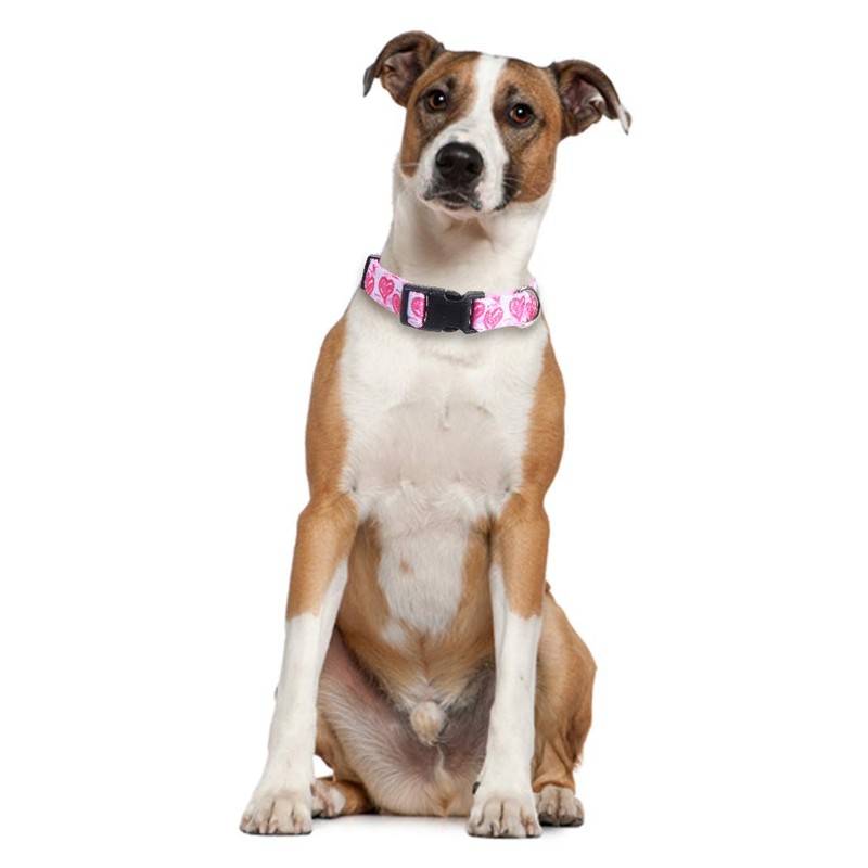 2 Pack Valentine's Day Dog Collar Adjustable Love Heart Small