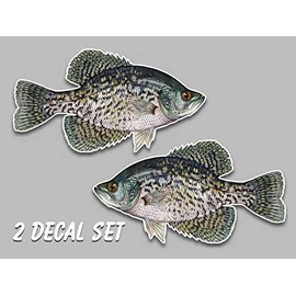 Black crappie fish vinyl decals 5.5" x 10" set of 2 right left facing sticker fishing freshwater for truck car SUV window glass