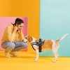 Dogline Unimax Dog Harness Vest with Nervous Dog Patches Reflective,