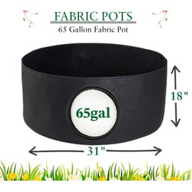 Terra Premium Breathable Grow Bag Fabric Pot for Healthy Plants (65 Gallon)