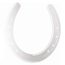 Horseshoe Set of 3 Horse Pony Stickers for Car Sticker Decor Horseshoe Iron Horse Film (K040 Silver)