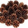 24 Pcs Christmas Pinecones Ornaments Natural Rustic Pine Cones Hanging