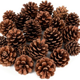 24 Pcs Christmas Pinecones Ornaments Natural Rustic Pine Cones Hanging with String Pinecone Christmas Tree Decorations for Farmhouse Christmas Wedding Fall Party Wreath Centerpiece (Black 24PCS)