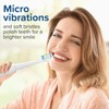 Harobey Replacement Toothbrush Heads 10 Pack Compatible with Bitvae Daily