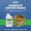 Agrisel GlyPhoSel Plus Weed Killer, Post Emergent, Long-Lasting Action, Eliminates