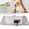 Pet Scale, 1100LBS Digital Livestock Scale Vet Scale Stainless Steel