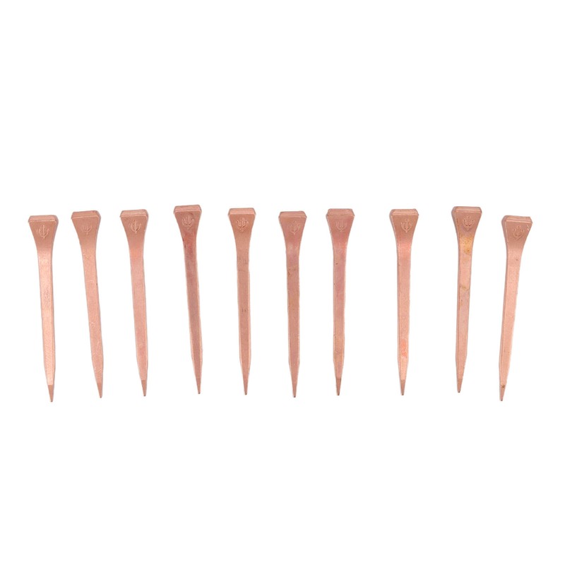 250Pcs Horseshoe Nails Copper Plating Shoeing Nails with Plastic Box