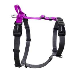 LufeLux Non-Restrictive Easy Walk Freedom No Pull Dog Harness, Keep Balance, Neck-Buckle, Six Points Adjustment for Ultimate Fit, 2 Leash Attachments for Back and Front Clip (Purple/Black, M)