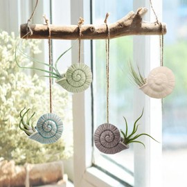 Mimeela 5 Pack Air Plant Holder Unique, Cute Octopus Air Plant Hanger Wall Planter, Ceramic Tillandsia Airplants Holders Hanging Wall Decor for Home Office (Whelk-Small (2.8 x 2 in))