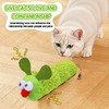 Cat Catnip Toys Set with 1 Caterpillar Cat Toy, 2